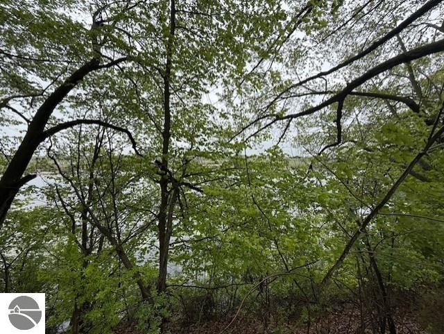TBD Prospect, Saint Louis, MI 48880