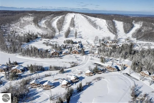 6519 Schuss Mountain Ln Unit 3511-3512, Mancelona, MI 49659 - view of snowy aerial view