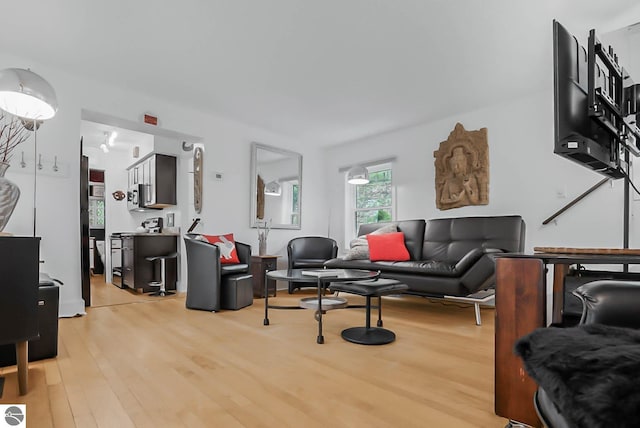 10092 S Elm St, Traverse City, MI 49684 - living area with light wood-style floors