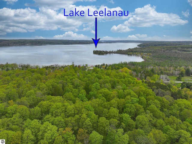 10092 S Elm St, Traverse City, MI 49684 - water view featuring a heavily wooded area