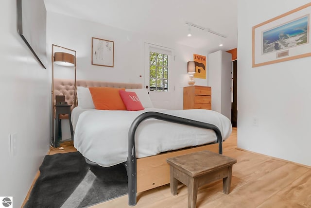 10092 S Elm St, Traverse City, MI 49684 - bedroom featuring rail lighting and light wood-style floors