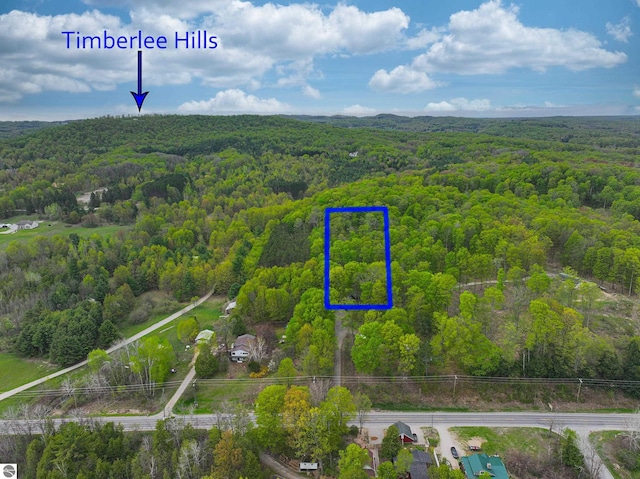 10092 S Elm St, Traverse City, MI 49684 - aerial view of property and surrounding area with a forest and property boundaries highlighted