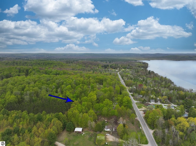 10092 S Elm St, Traverse City, MI 49684 - drone / aerial view of a forest and a nearby body of water
