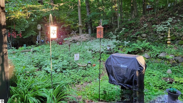 10092 S Elm St, Traverse City, MI 49684 - view of yard featuring a garden