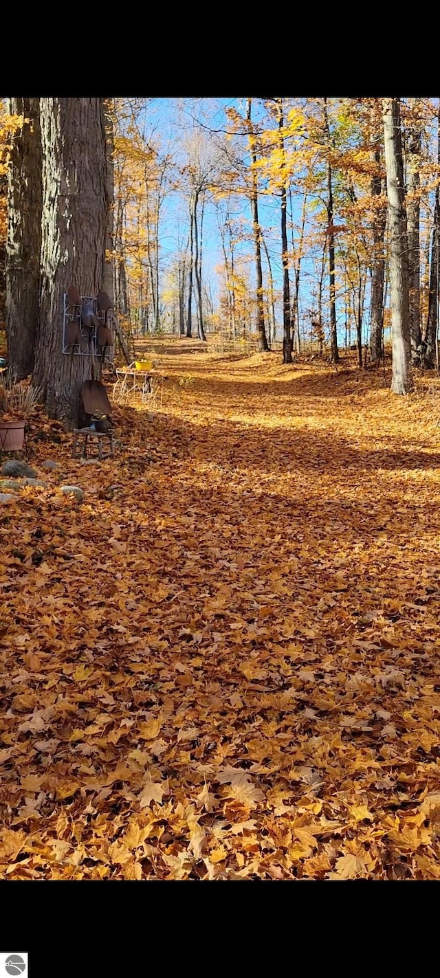 10092 S Elm St, Traverse City, MI 49684 - view of yard