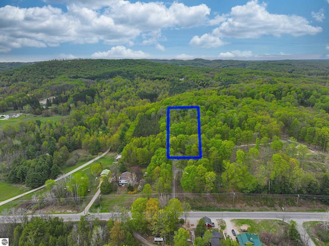 10092 S Elm St, Traverse City, MI 49684 - aerial overview of property's location featuring a heavily wooded area and property parcel outlined