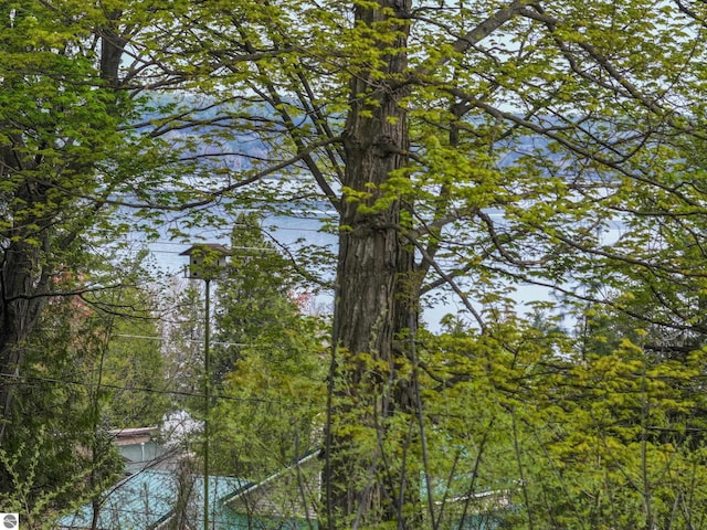 10092 S Elm St, Traverse City, MI 49684 - view of wooded area