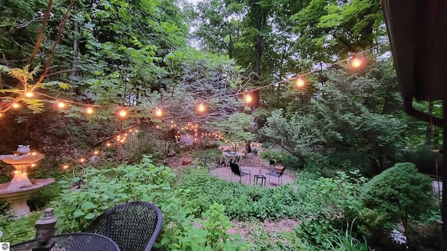 10092 S Elm St, Traverse City, MI 49684 - view of yard