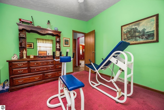 5206 S Riverview Dr, Lake City, MI 49651 - workout room with carpet floors and a textured ceiling