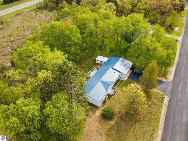 5206 S Riverview Dr, Lake City, MI 49651 - view from above of property