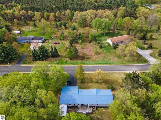 5206 S Riverview Dr, Lake City, MI 49651 - aerial view of a forest