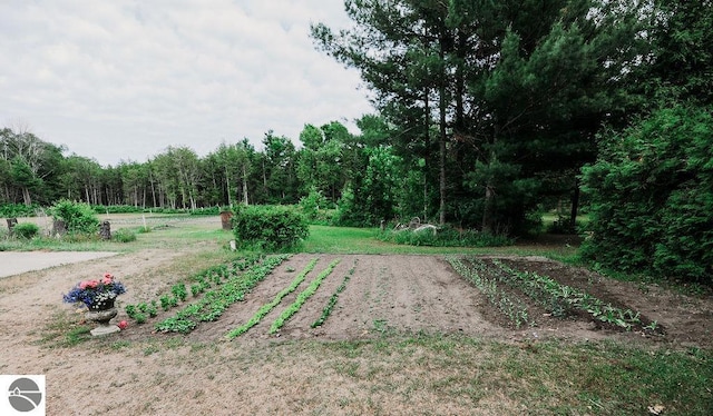 11184 N Mill St, Northport, MI 49670