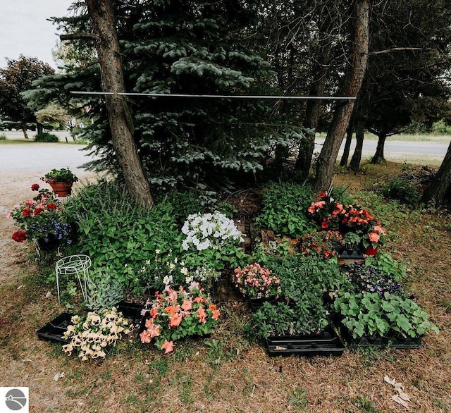 11184 N Mill St, Northport, MI 49670