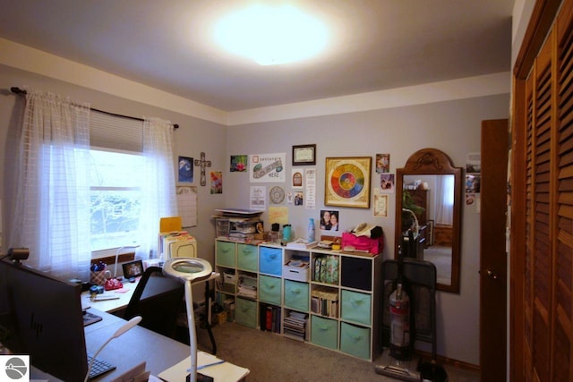 161 Huntinghorn Dr, Roscommon, MI 48653 - home office featuring carpet flooring