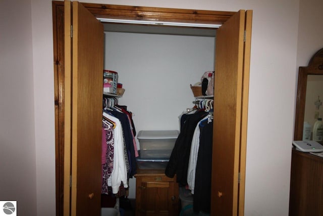 161 Huntinghorn Dr, Roscommon, MI 48653 - view of closet