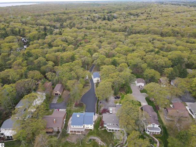 463 S Otis Ln, Au Gres, MI 48703 - aerial view of property's location with a heavily wooded area and nearby suburban area