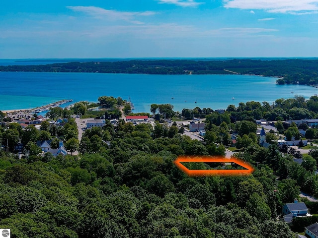 310 W Broadway, Suttons Bay, MI 49682 - bird's eye view of a nearby body of water and a heavily wooded area