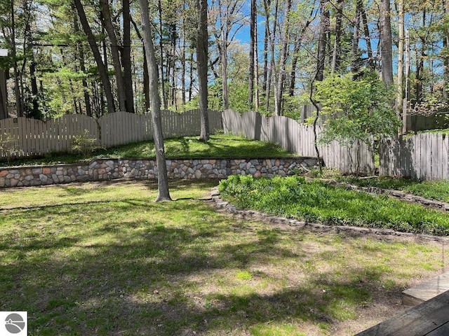 302 Huron St, Traverse City, MI 49686 - view of yard