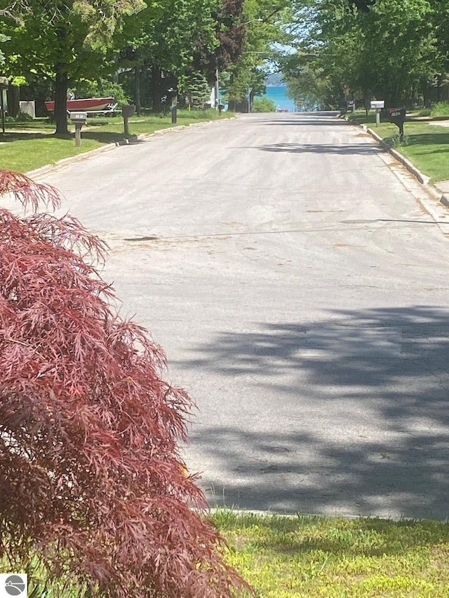 302 Huron St, Traverse City, MI 49686 - view of asphalt road with curbs