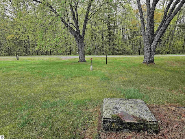 3058 Brodie Rd, South Branch, MI 48761 - view of grassy yard featuring a wooded view