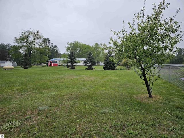 3058 Brodie Rd, South Branch, MI 48761 - view of yard