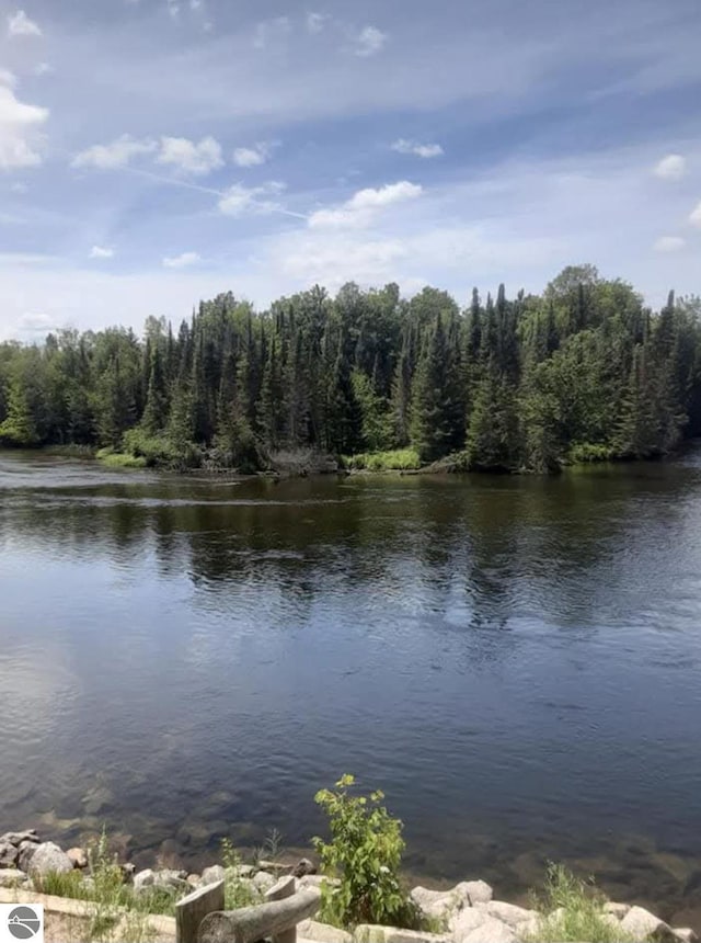 3058 Brodie Rd, South Branch, MI 48761 - water view with a forest