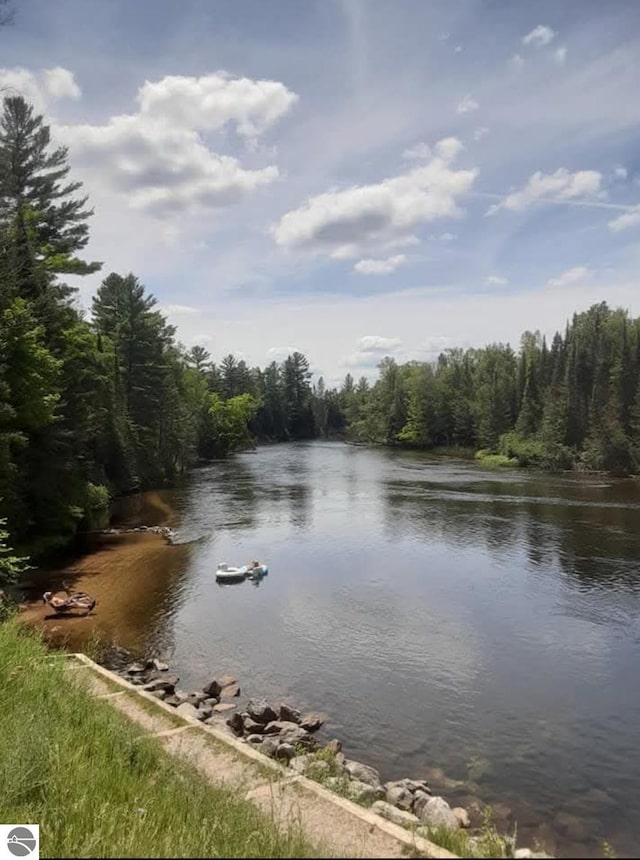 3058 Brodie Rd, South Branch, MI 48761 - water view with a forest