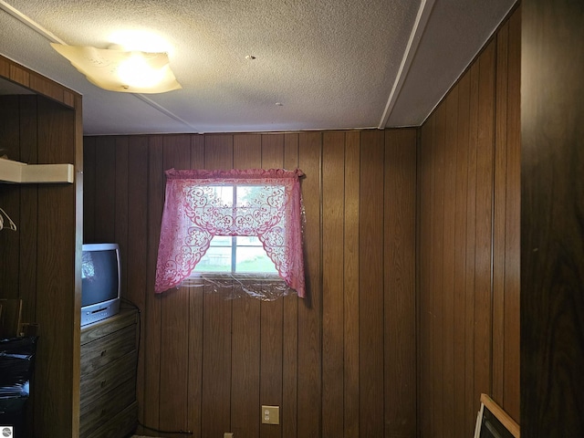 3058 Brodie Rd, South Branch, MI 48761 - detailed view of wooden walls and a textured ceiling