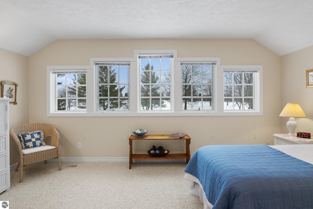 6200 Single Tree Ln, Williamsburg, MI 49690 - bedroom with vaulted ceiling, carpet floors, and baseboards