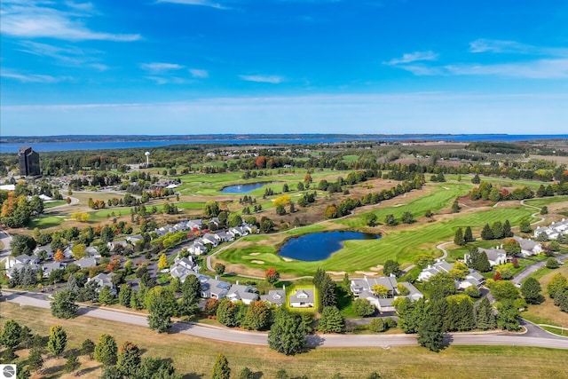 6200 Single Tree Ln, Williamsburg, MI 49690