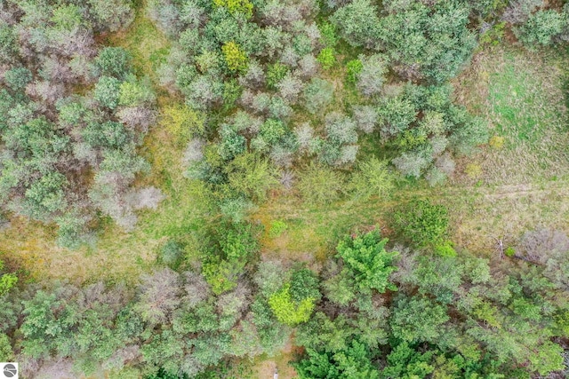 1151 N 8 Mile Rd, Lake City, MI 49651 - drone / aerial view