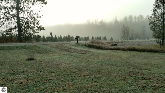 1151 N 8 Mile Rd, Lake City, MI 49651 - view of grassy yard with a view of countryside