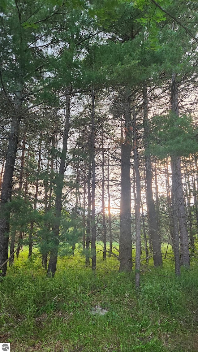 1151 N 8 Mile Rd, Lake City, MI 49651 - view of local wilderness