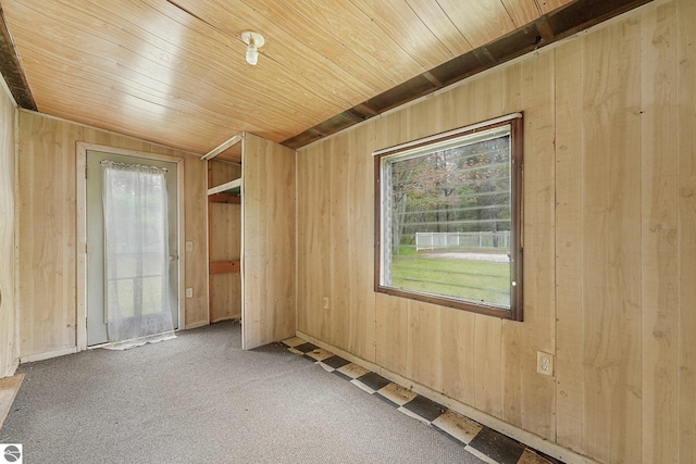 1151 N 8 Mile Rd, Lake City, MI 49651 - spare room with wood ceiling, wood walls, and carpet floors