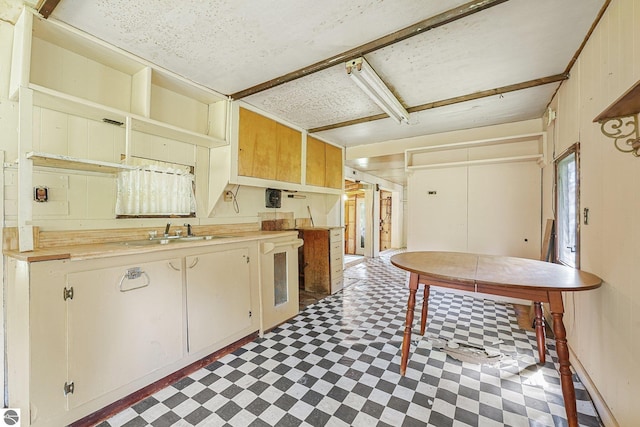 1151 N 8 Mile Rd, Lake City, MI 49651 - kitchen with light floors, a sink, and light countertops