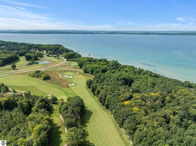 4283 Maitland Rd, Williamsburg, MI 49690 - aerial view of a large body of water and a golf club