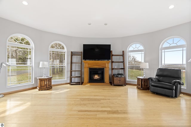 2769 White Rd, Frankfort, MI 49635 - living area with light wood-style floors, a glass covered fireplace, recessed lighting, and baseboards