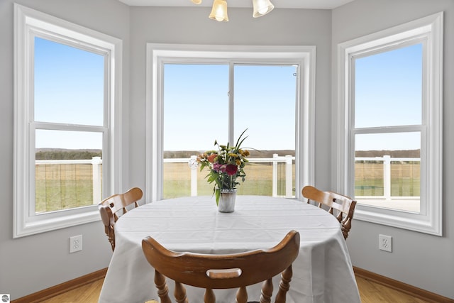 2769 White Rd, Frankfort, MI 49635 - dining space featuring baseboards, healthy amount of natural light, and light wood finished floors