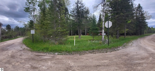 6031 Collins Rd, Onaway, MI 49765 - view of dirt / gravel road with traffic signs and a forest view