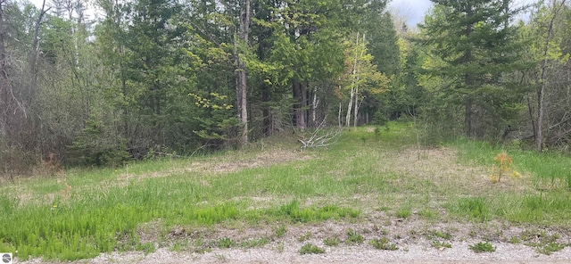 6031 Collins Rd, Onaway, MI 49765 - view of woods