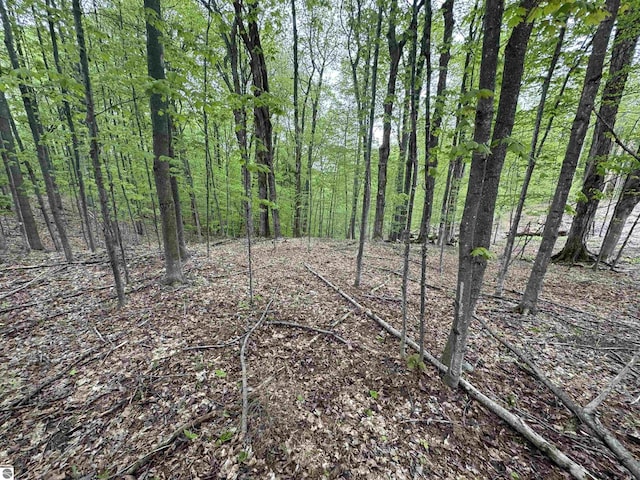 LOT7 E Bellinger Rd, Cedar, MI 49621