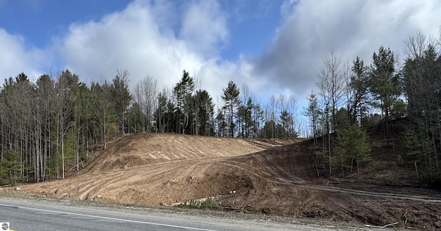 LOT7 E Bellinger Rd, Cedar, MI 49621