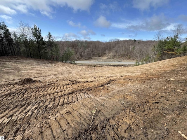 LOT7 E Bellinger Rd, Cedar, MI 49621