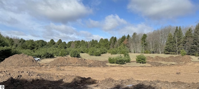 LOT7 E Bellinger Rd, Cedar, MI 49621
