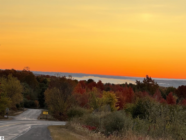 LOT7 E Bellinger Rd, Cedar, MI 49621