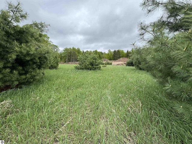 LOT7 E Bellinger Rd, Cedar, MI 49621