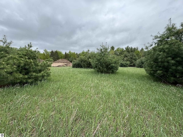 LOT7 E Bellinger Rd, Cedar, MI 49621