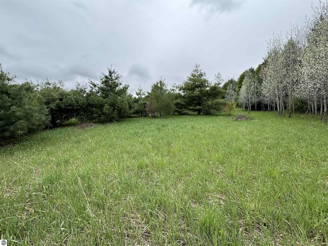 LOT7 E Bellinger Rd, Cedar, MI 49621