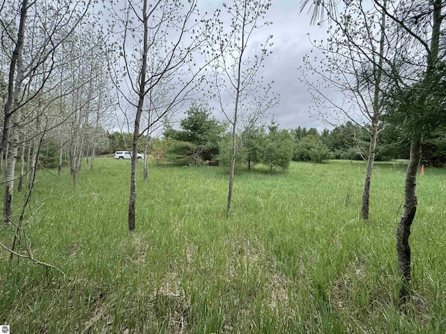 LOT7 E Bellinger Rd, Cedar, MI 49621