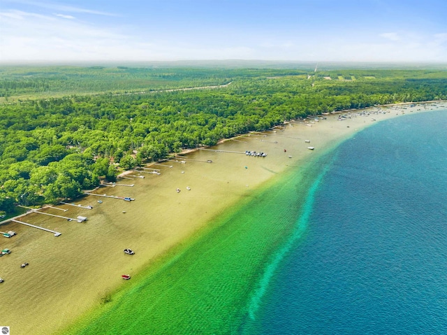 104 Haines Ave, Roscommon, MI 48653 - drone / aerial view of a forest and a large body of water